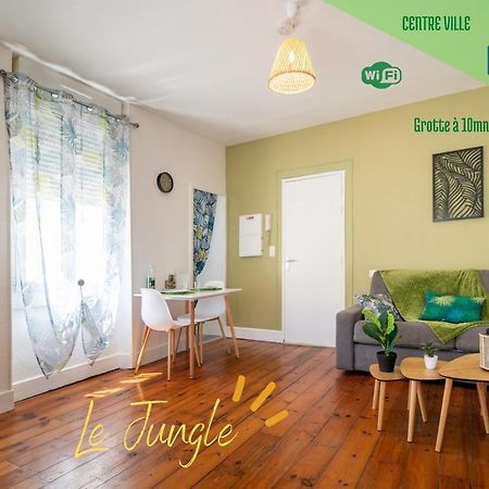 Le Jungle--Hyper Centre--Tout Confort--Wifi Λούρδη Εξωτερικό φωτογραφία