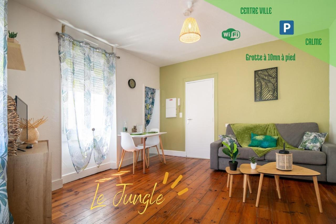 Le Jungle--Hyper Centre--Tout Confort--Wifi Λούρδη Εξωτερικό φωτογραφία